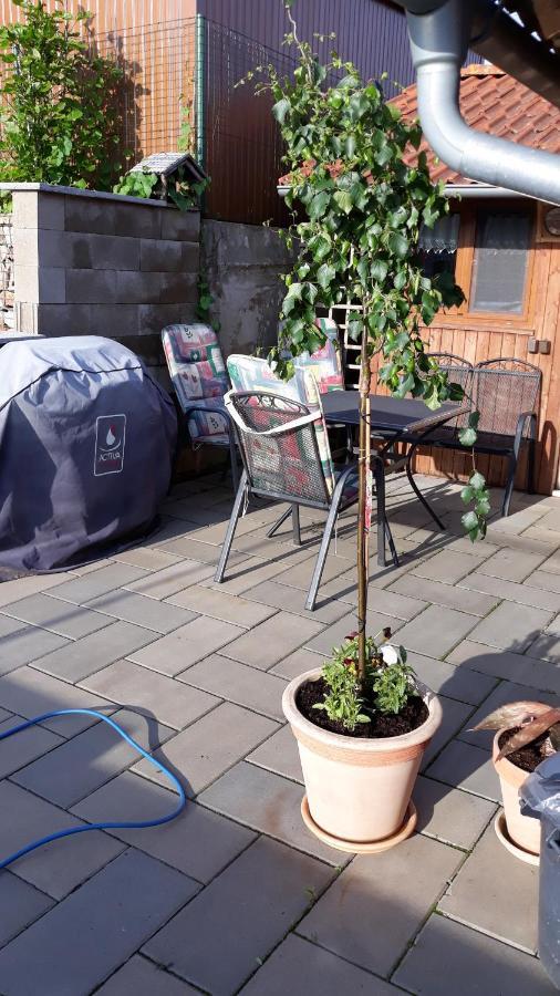 Apartman U Potoka Sadov Exterior photo